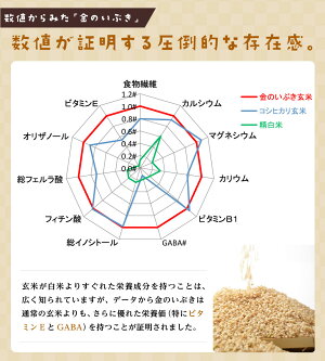 【送料無料】※北海道・沖縄・離島を除く宮城県産玄米「金のいぶき」5kg5キロ5kg国産国内産日本産きんのいぶきげんまい栄養胚芽袋