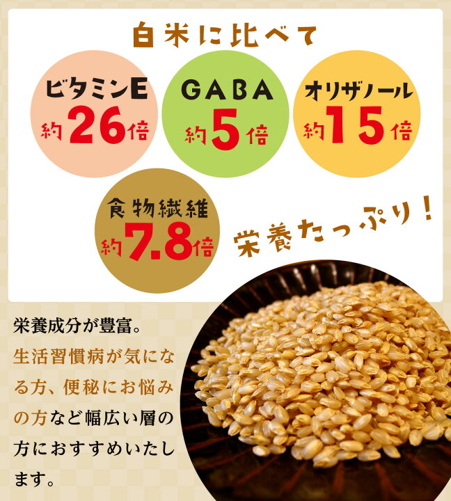 1104円 最新作の 金のいぶき 宮城県 5kg 令和3年産 胚芽が3倍大きい玄米食専用米