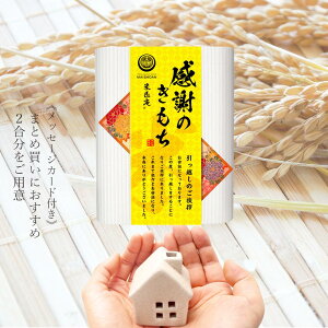 yBōő|Cg10{!zz ӂ̂ A ei  Mtg 300g (2) bZ[WJ[h ܈   Y z ߏ 