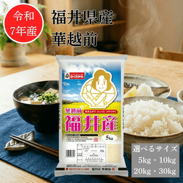 楽天市場】【レビュー特典でクーポン配布中】ハナエチゼン 福井県産 