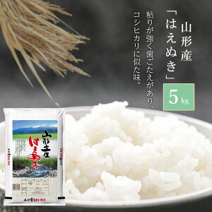 米5kg山形県普通精米「はえぬき」国産国内産日本産白米袋5キロ【送料無料】※北海道・沖縄・離島を除く