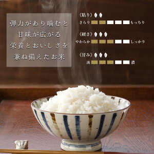 米5kg山形県普通精米「はえぬき」国産国内産日本産白米袋5キロ【送料無料】※北海道・沖縄・離島を除く