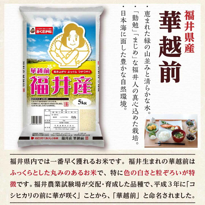 楽天市場】米 お米 30kg (5kg×6袋) 華越前 ハナエチゼン 福井県産 2025 