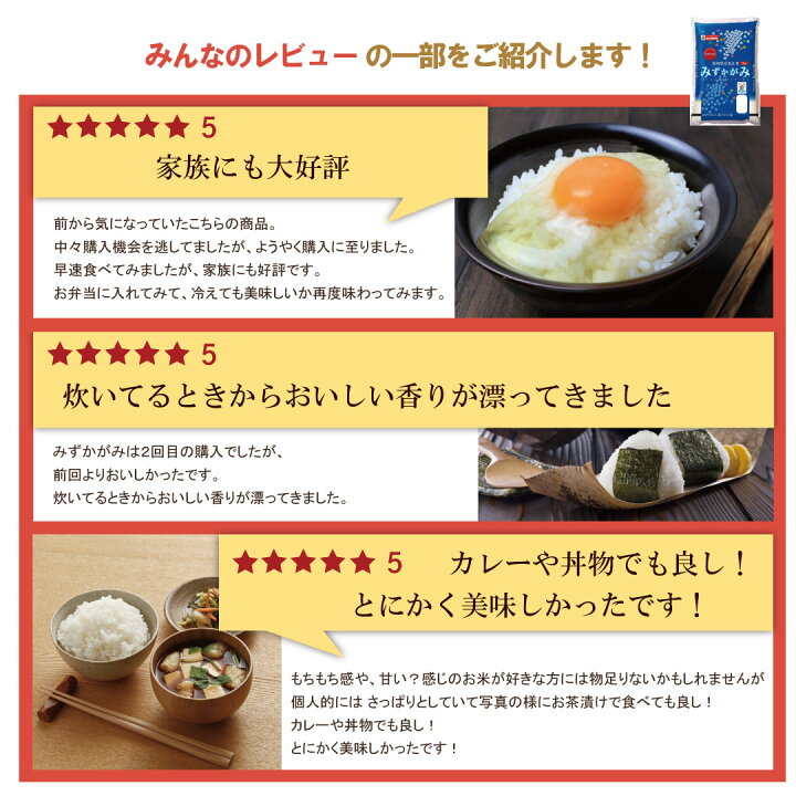 楽天市場】【LINE新規登録で150円OFFクーポン】 米 20kg みずかがみ 