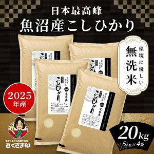   20kg w18̓|Cgő5{Ix RVqJ Y VY 2025NY ߘa7NY     Ђ 5kg×4 20L Pꌴ Ĕ  e oY