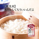 無洗米 米 20kg 『ポイント10倍』 洗うなんてもういいんだよ 送料無料 お米 白米 精米 5kg×4袋 20キロ 安くて美味し…
