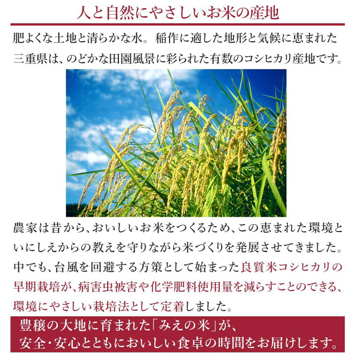 楽天市場】【11/1限定ポイント10倍】【2022年産新米】【送料無料】【令和4年産】無洗米 三重県産 こしひかり 5kg < 無洗米 >お米 単一原料米 おくさま印 送料込み ※沖縄・北海道・離島除く : 米匠庵楽天市場店 楽天市場】【11/1限定ポイント10倍】【2022年産新米】【送料無料】【令和4年産】無洗米 三重県産 こしひかり 5kg < 無洗米 >お米 単一原料米 おくさま印 送料込み ※沖縄・北海道・離島除く : 米匠庵楽天市場店
