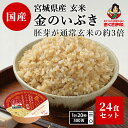 【エントリーでポイント10倍】 ご飯パック 金のいぶき玄米ごはん 24個セット 120g おくさま印 お米 レトルト 食品 無添加 国産 レンジで簡単 温めるだけ ギフト 引っ越し 挨拶 内祝い お歳暮 送料無料 米