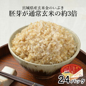 【LINE新規登録で150円OFFクーポン】 ご飯パック 金のいぶき玄米ごはん 24個セット 120g おくさま印 お米 レトルト 食品 無添加 国産 レンジで簡単 温めるだけ ギフト 引っ越し 挨拶 内祝い お歳暮 送料無料 備蓄米