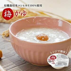 w1̓_tf[x ~ WŊȒP Y 250g×12pbN Y   L@͔| Ђ gg W ߂邾 lߍ킹 Zbg Mtg Jbv Ԃ