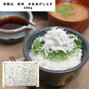 yGg[BŃ|Cg{10za̎R IB グ炷 300g 炷 Ⓚ Hו Mtg i  j  yYE[J[iz