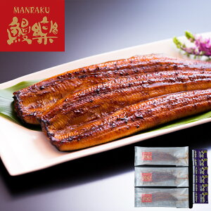 wLINEVKo^150~OFFN[|xuVyv BY Ȃ 3iv420gj ^iRtj×6 Hו Mtg i  j  yYE[J[iz