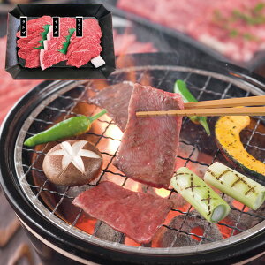 w|Cgő5{Ix_ˋ ēp 󏭕3Zbg _ˋiv C`{ }Vje120g (v360gj Zbg  Hו Mtg i  j  yYE[J[