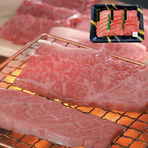 wB|Cg10{x _ˋ ē 󏭕 Hה _ˋi~XW E~XW Nje120g iv360gj Zbg  Hו Mtg i  j  yYE[J