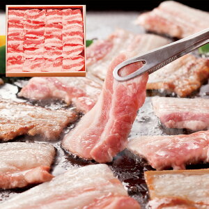 w|Cg10{!!xOd |[N ē o400g Ⓚ  Hו Mtg i  j  yYE[J[iz