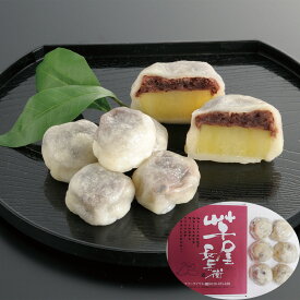 【おくさま印キャンペーン開催中】熊本 「芋屋長兵衛」 いきなり団子 プレーン 6個セット 詰め合わせ 和菓子 お取り寄せ 冷凍 食べ物 ギフト 贈答品 お中元 内祝い 送料無料 【産直・メーカー直送品】