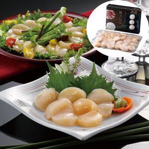 wB|Cg10{xL 500g Ⓚ ܂ Hו Mtg i  j  yYE[J[iz