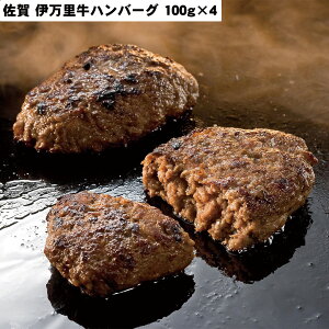 w|Cg10{!!x ɖno[O100g×4 Zbg y Ⓚ Hו Mtg i  j  yYE[J[iz