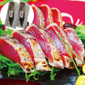 wB|Cg10{xÉ ̍ ̂250g×2 ̂10g×2 Zbg  Hו Mtg i  j  yYE[J[