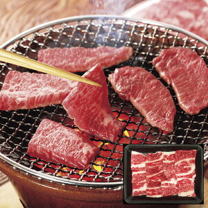 w1̓_tf[x ˋ ē  300g  Hו Mtg i  j  yYE[J[iz