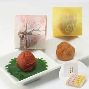 『LINE新規登録で150円OFFクーポン』和歌山 紀州農園 楽紀梅 梅干し 20個(しそ漬 はちみつ各10個) 塩分:はちみつ8% しそ漬12% セット 詰め合わせ 個包装 食べ比べ お惣菜 食べ物 ギフト 贈答品