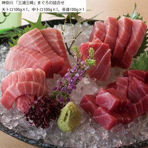 wB|Cg10{x_ސ uOYOv܂̋lߍ킹 g100g×1 g100g×1 Ԑg100g×1  Zbg Hה  Hו Mtg i  j  yY