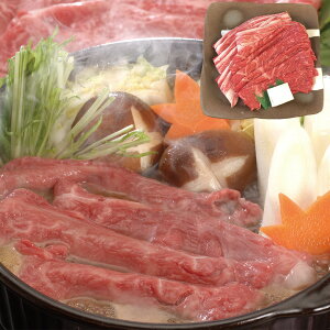 wLINEVKo^150~OFFN[|x_˃r[t ēpiEoj500g  Hו Mtg i  j  yYE[J[iz