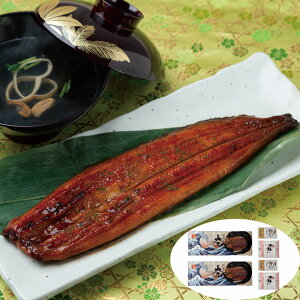 w|Cgő5{IxȂ≮̑܊ ×2iv240gj ̋z×2 Rt×2 Zbg lߍ킹 y Hו Mtg i  j  yYE[J[iz