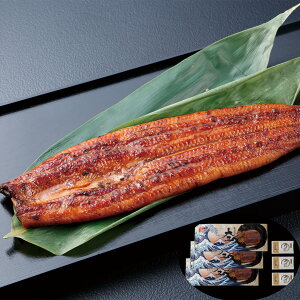 w|Cg10{!!xȂ≮̑܉VăZbg ×3(v360g) Rt15ml×3 Zbg lߍ킹 y Hו Mtg i  j  yYE[J[