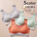【メール便OK】BR022 シームレス ブラジャー マシュマロ 柔らか ノンワイヤーブラ 育乳 スポーツブラ バストケア 授乳ブラ ヨガブラ 夜用 補正 ブラトップ ひびかない