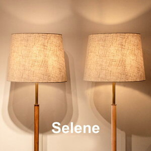1嗝΃tACg Selene (Z[l)