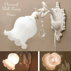 yԌIzGrace O[XEH[vƖ X CeA @EH[v Ǌ|Ɩ uPbg VztH[ 1Nԕۏ؁@NVbNEH[