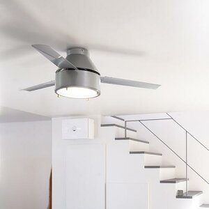NEIL CEILING FAN j[ V[Ot@