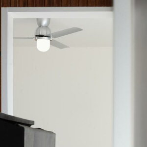 ESSEN CEILING FAN GbZ V[Ot@