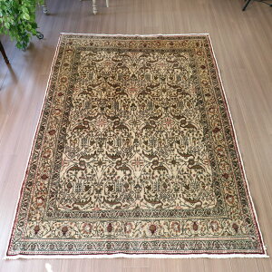 gRDO~@JCZY225×149cm j[NȘAl