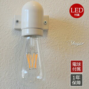 yԌIzyLEDdΉzVK[Shugar@Ɩ  _CjOp Hp rOp ԗp Ɩ led k y_g Cg 킢 LEDdΉ 46 L  X