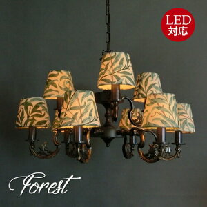 tHXg@ForestVfA@9@ECAX@|V[O VƖ rO _CjO X