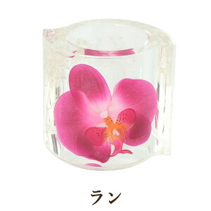 AN  t[X^h / uVX^h uV ʏ Lb` 䏊 rO _CjO ʏ o KN [Y [Y ԕ G X T ze CeA