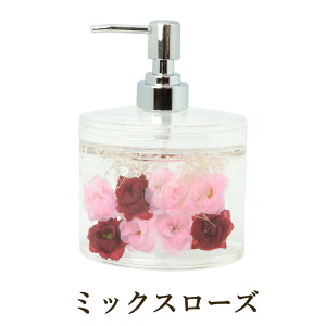 AN  \[vfBXyT[ 11cm / fBXyT[ X^h Vv[X^h {gX^h oXObY oX[ C ObY o KN [Y   G