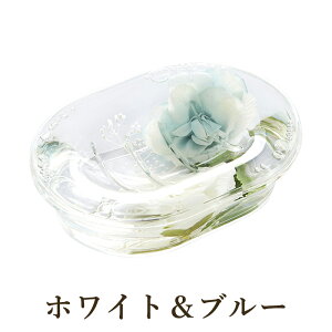 AN  \[vfBbV / \[v fBbV Ό u g[  oXObY oX[ C ObY o KN [Y   G