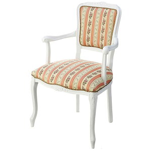 C^A A[`FA XgCv[YsN 54cm / `FA ֎q  CX It It Lr L ԕ [Y o KN XgCv sN CeA rO _CjO Q C^