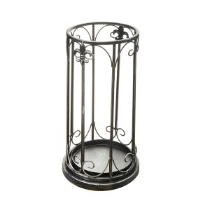 P ACA 25cm / P Pu Au X^h  [ AeB[N zCg ubN   CeA  J  GKg