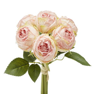 A[eBtBVt[ [Yu[P 7 /   t[ t[AWg rO Mtg j ϗtA ͂Ȃ  rO