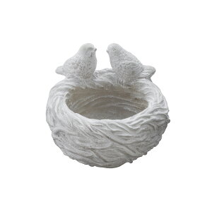 v^[ ̑ 21.5cm / K[fjO t[  O   t[X^h t[|bg Aؔ   Jo[ AeB[N