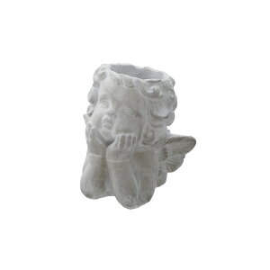 v^[ GWF tFCX|bg MTCY 19.5cm / K[fjO t[  O   t[X^h t[|bg Aؔ   Jo[ AeB[N