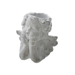 v^[ GWF tFCX|bg LTCY 26cm / K[fjO t[  O   t[X^h t[|bg Aؔ   Jo[ AeB[N