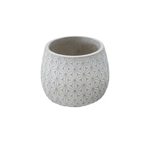 v^[ ی^ MTCY a16.5cm / K[fjO t[  O   t[X^h t[|bg Aؔ   Jo[ AeB[N AG