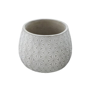 v^[ ی^ LTCY a19cm / K[fjO t[  O   t[X^h t[|bg Aؔ   Jo[ AeB[N AG