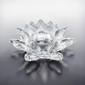 Lhz_[ [^X 14.5cm / nX @̉ @ u Lh z_[  NX^ IuWF Be  CeA fBXvC X T