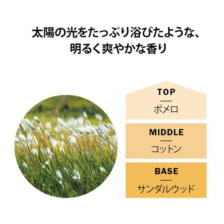 楽天市場】コットンブロッサム&ポメロ 500ml アシュレイ&バーウッド 